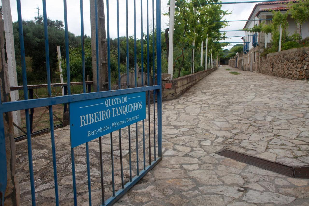 Quinta Ribeiro Tanquinhos Tancos Exterior foto