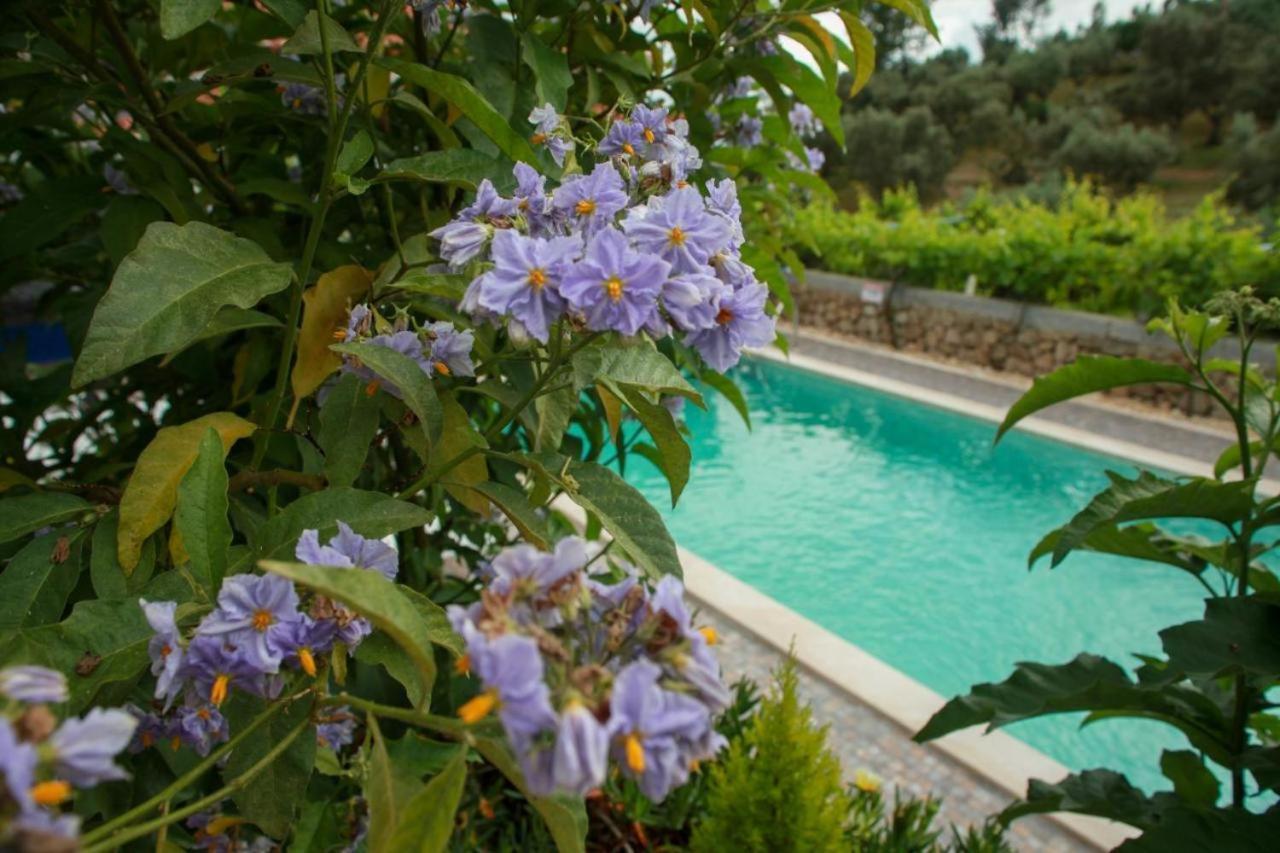 Quinta Ribeiro Tanquinhos Tancos Exterior foto