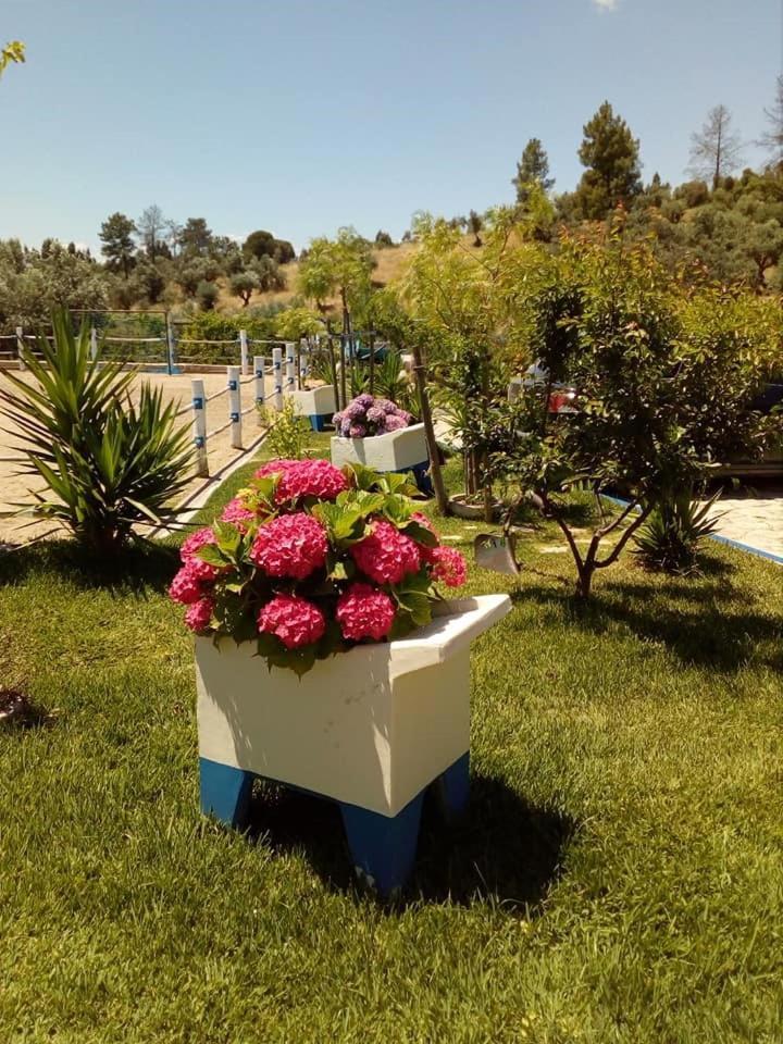Quinta Ribeiro Tanquinhos Tancos Exterior foto