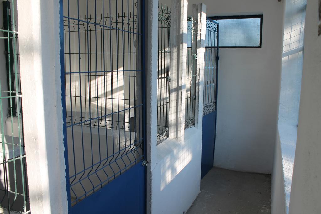 Quinta Ribeiro Tanquinhos Tancos Exterior foto