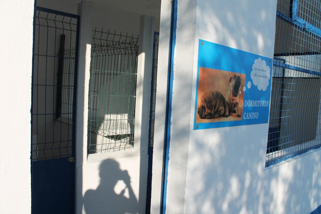 Quinta Ribeiro Tanquinhos Tancos Exterior foto
