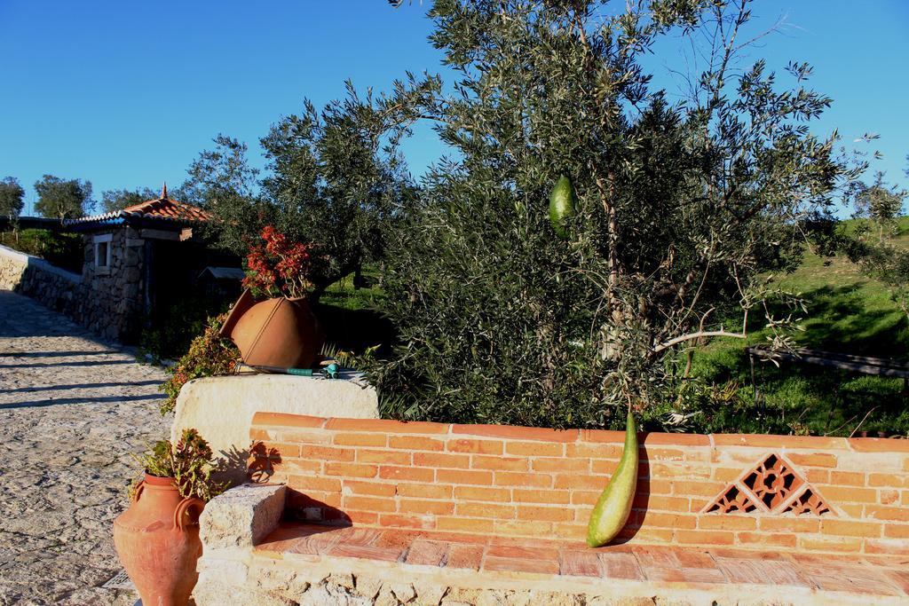 Quinta Ribeiro Tanquinhos Tancos Exterior foto