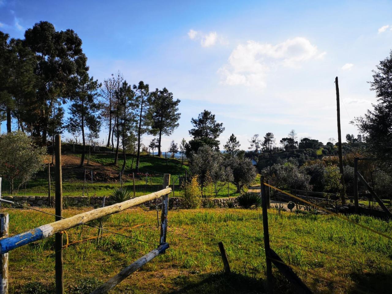 Quinta Ribeiro Tanquinhos Tancos Exterior foto