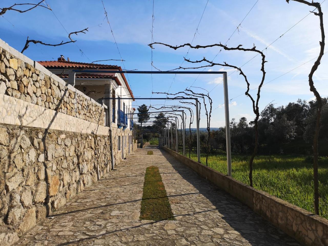 Quinta Ribeiro Tanquinhos Tancos Exterior foto